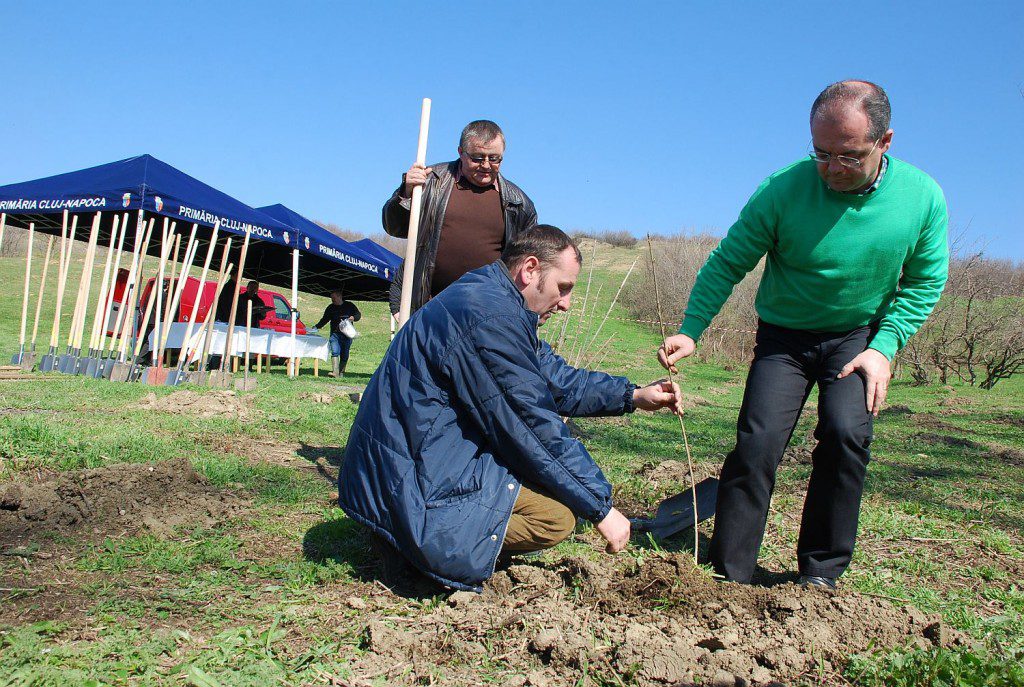 Plantare copaci, foto Otilia Muresan 1