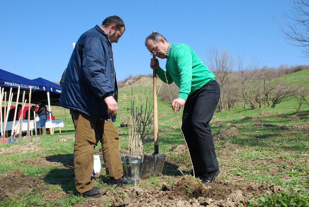 Plantare copaci, foto Otilia Muresan 2