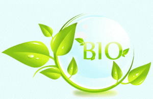 bio