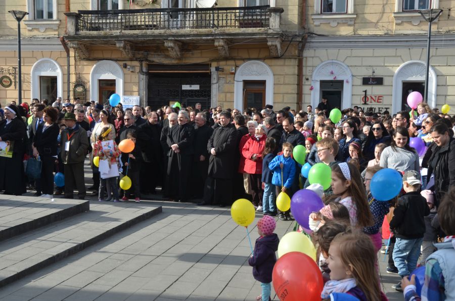 mars pentru viata15 cluj 2017